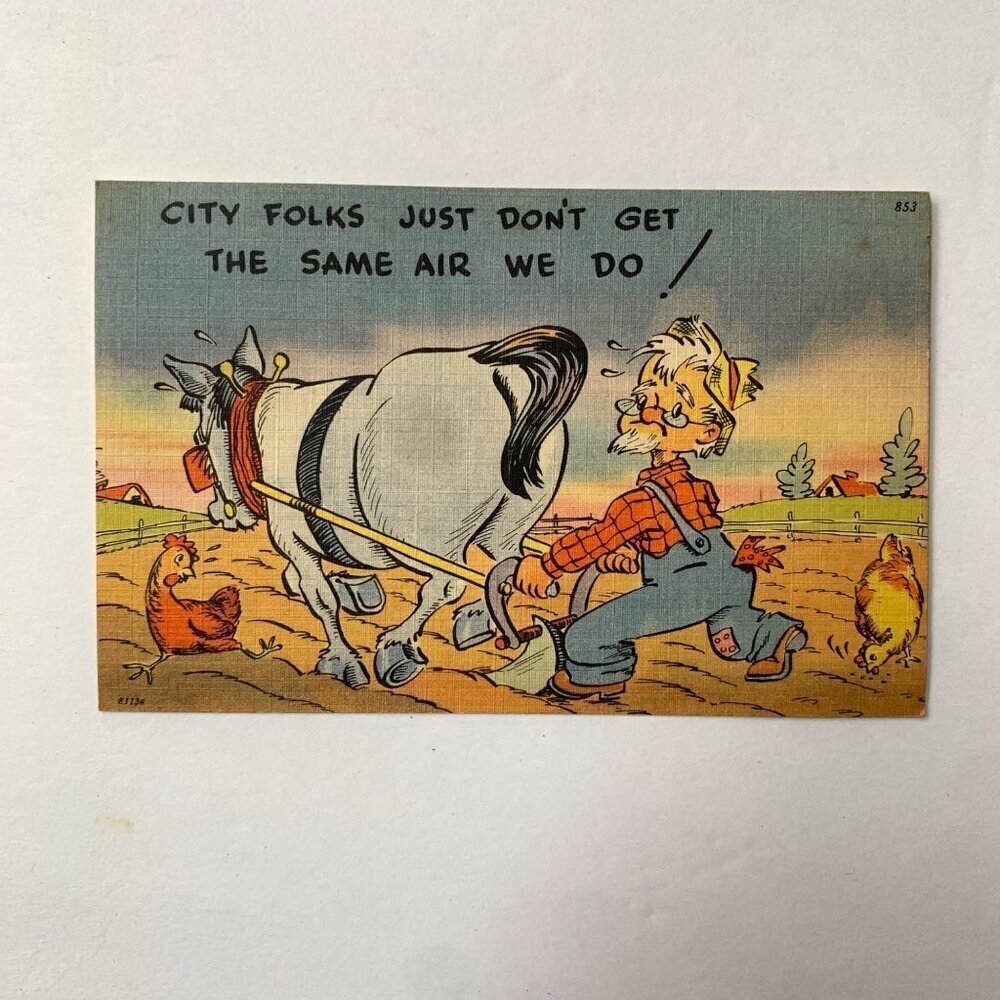 City Folks Just Don't Get The Same Air We Do Vintage Postcard Unused